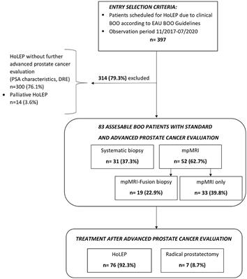 Multiparametric MRI may Help to Identify Patients With Prostate Cancer in a Contemporary Cohort of Patients With Clinical Bladder Outlet Obstruction Scheduled for Holmium Laser Enucleation of the Prostate (HoLEP)